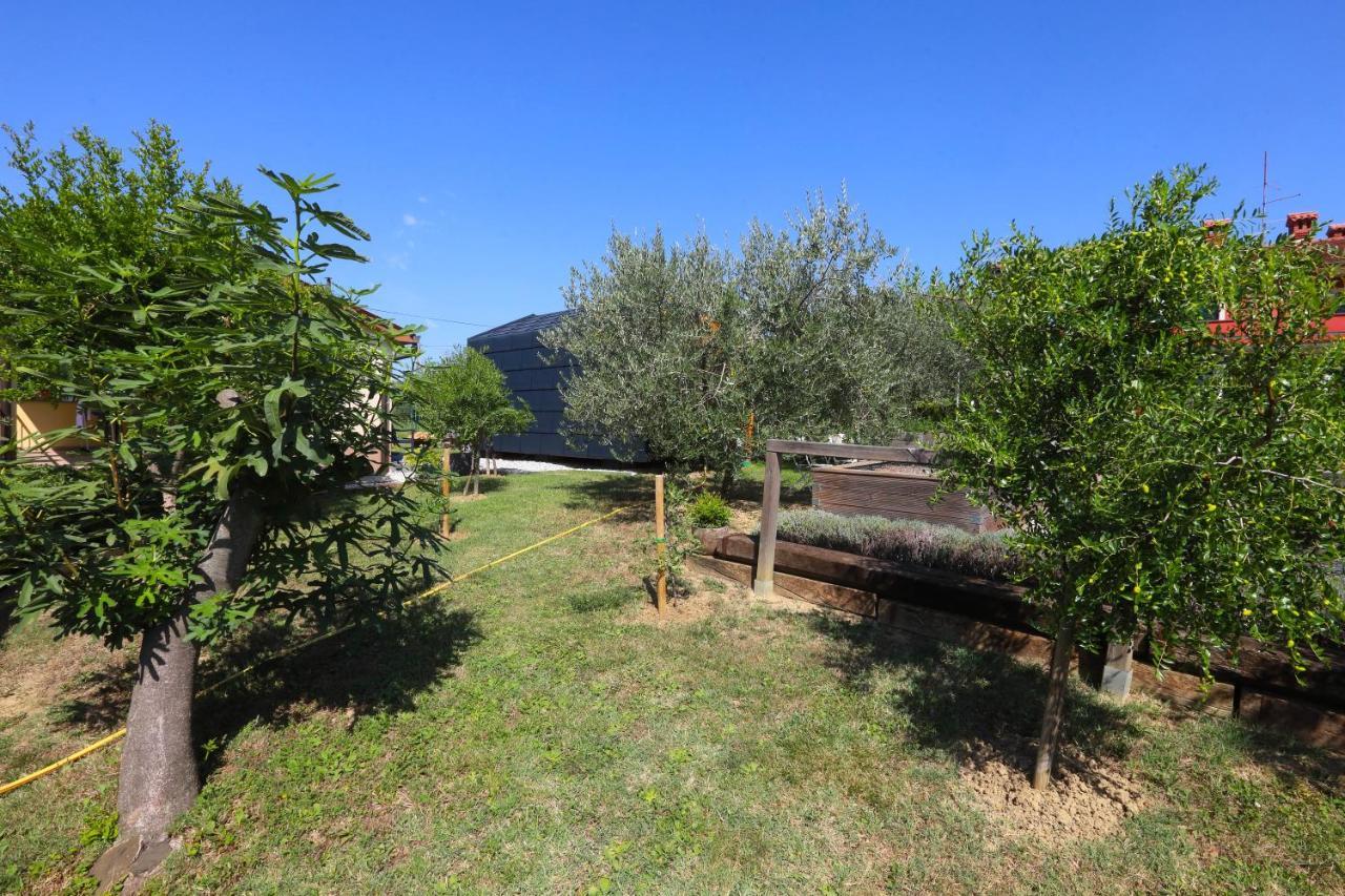 Healthy House Glamping Otel Koper Dış mekan fotoğraf