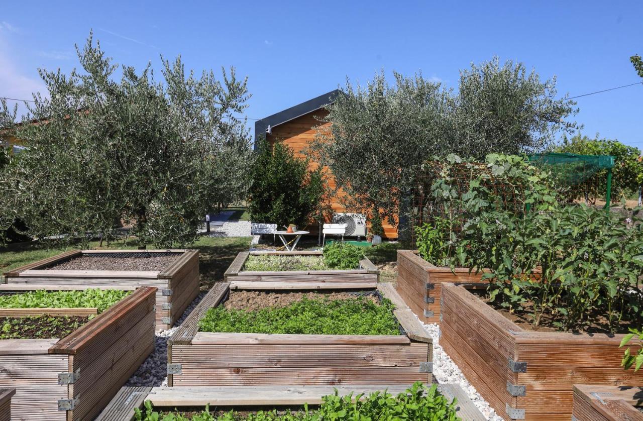 Healthy House Glamping Otel Koper Dış mekan fotoğraf