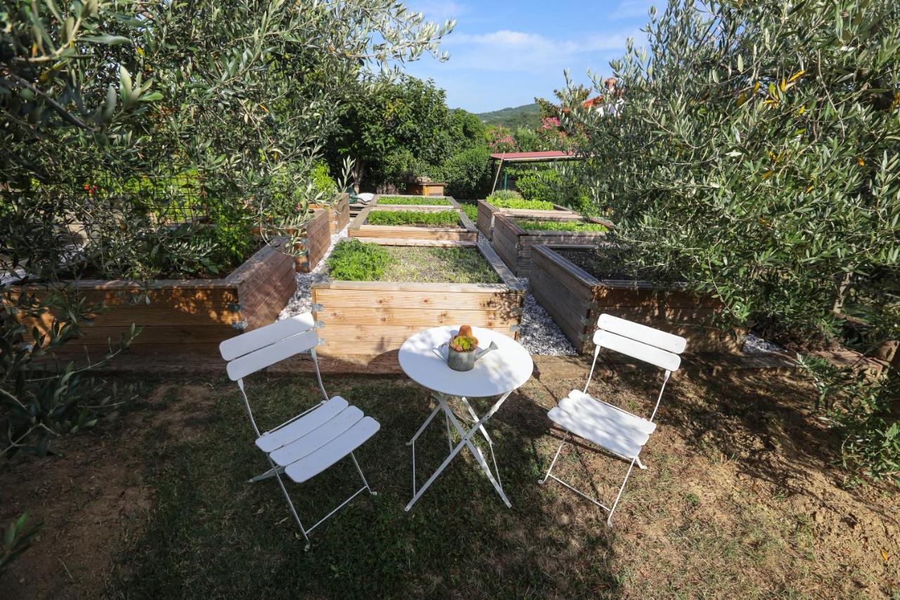 Healthy House Glamping Otel Koper Dış mekan fotoğraf